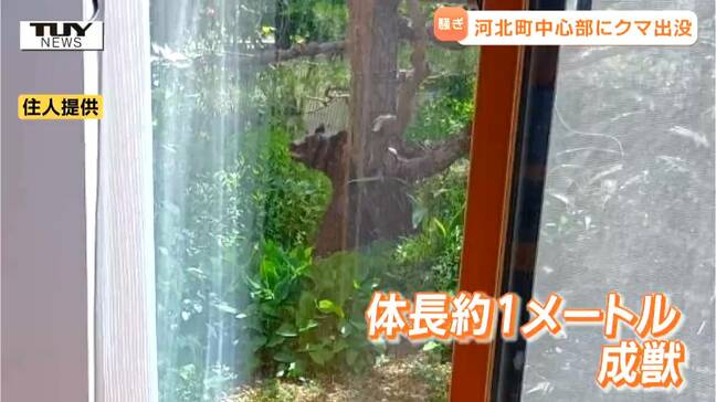 「67年住んでいて初めて」河北町中心部にクマ出没で大きな騒ぎに　市街地での目撃件数は過去最多　クマ騒動振り返る（山形）|TBS NEWS DIG