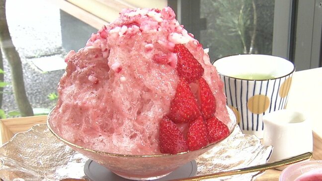 1杯1000円超えも当たり前!トレンドかき氷は“ふわふわ進化系” かき氷愛好家は別名「ゴーラー」?|TBS NEWS DIG
