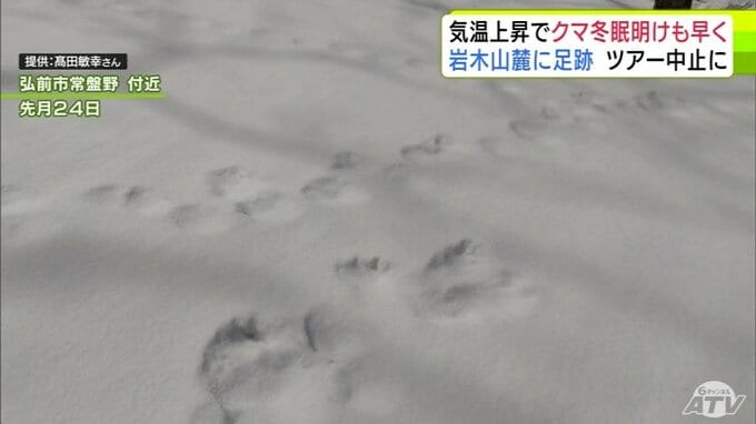 「クマの足跡」例年より1か月ほど早く雪山に…　爪の形が“くっきり”岩木山麓に　親子か　発見したガイド歴30年の男性もこの時期に見つけるのは初めて「えさを求めてうろついている感じ…警戒しながら帰ってきた」　散策ツアーは中止に|TBS NEWS DIG