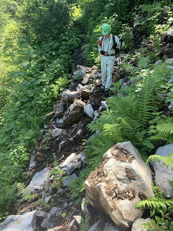 落差日本一 “称名滝” 間近に見られる「八郎坂登山道」通行止め　大雨で崩壊進む　富山・立山町|TBS NEWS DIG