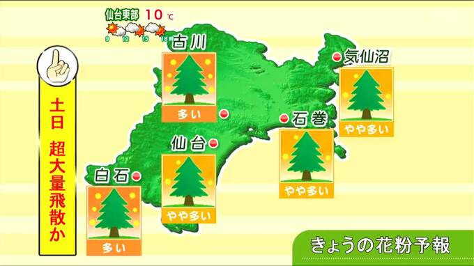 【6日宮城の天気】日中は穏やかも夜から雨　“折りたたみ傘”あると安心　週末は強風と花粉の大量飛散に注意　tbc気象台|TBS NEWS DIG