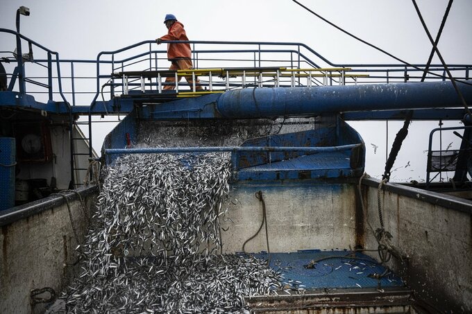 ペルー、アンチョビー禁漁を延長－海水温上昇でエルニーニョ懸念