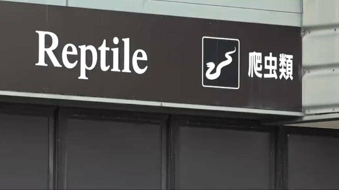 ホームセンターから姿を消した全長1m超のヘビ 店内から生きた状態で発見　新潟・上越市|TBS NEWS DIG