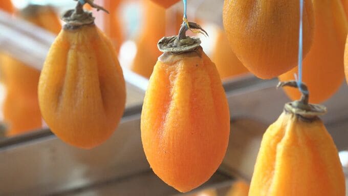 震災で担い手減る中ボランティアが支えに 石川・志賀町で特産品の「ころ柿」づくり最盛期|TBS NEWS DIG