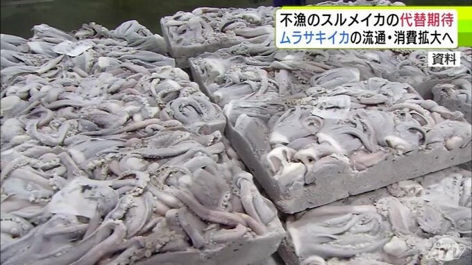 不漁続く「スルメイカ」の代替として注目の「ムラサキイカ」　流通・消費拡大について考えようと漁業関係者などが意見交わす「アピールしていきたいと市場としても思っています」　青森県八戸市|TBS NEWS DIG