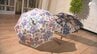 「This umbrella, very cute」静岡の伝統技術を取り入れた手作り傘 老舗の挑戦に海外からも熱視線【しずおかモノ語り】　|　静岡のニュース | SBSNEWS | 静岡放送