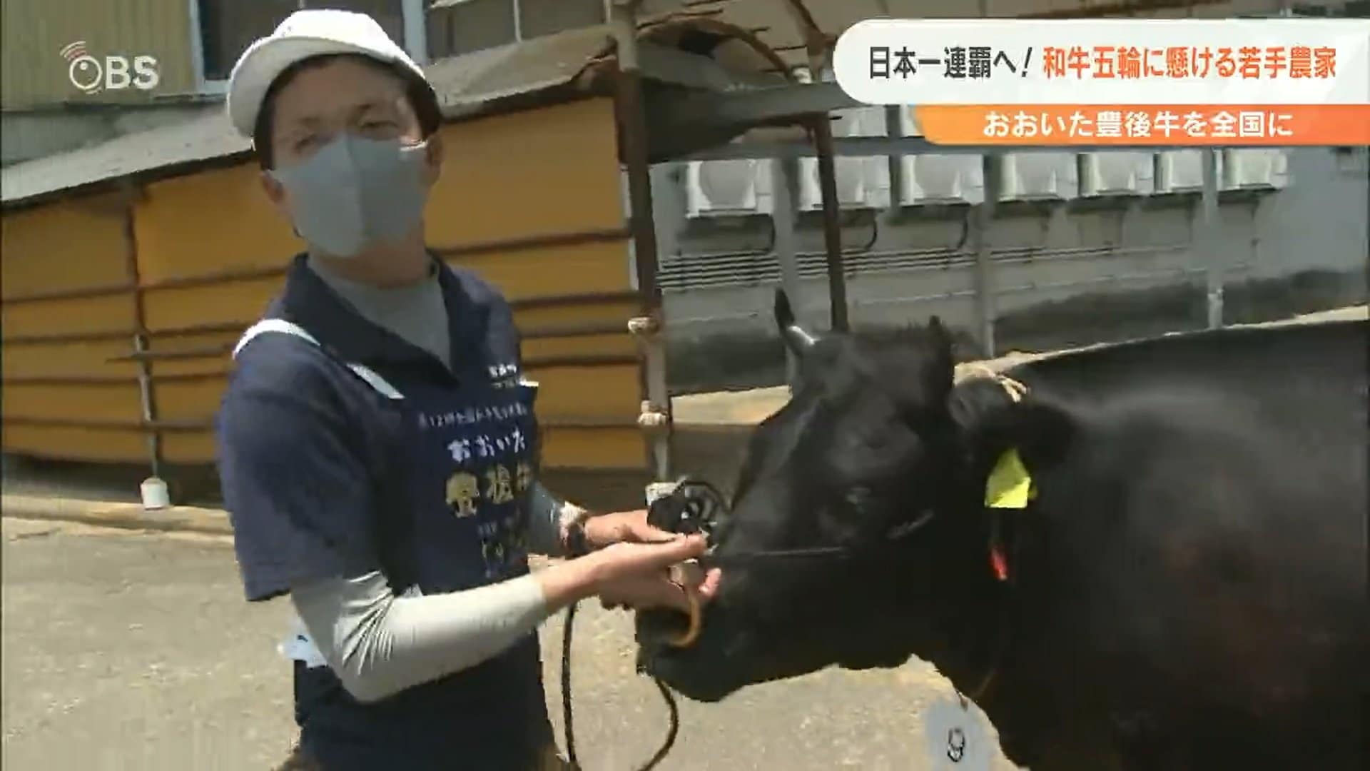 日本一連覇へ おおいた豊後牛を全国に 和牛五輪にかける若手農家 大分 Tbs News Dig 1ページ