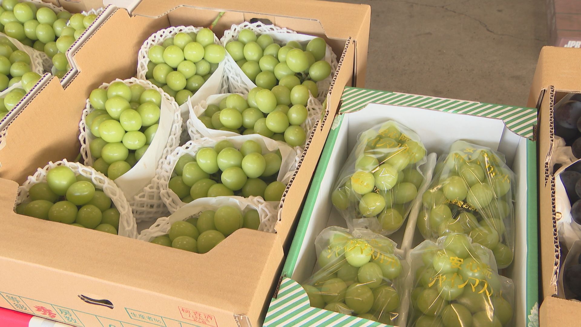 シャインマスカット初競り 1箱35万円、過去最高値 大分 | 大分の