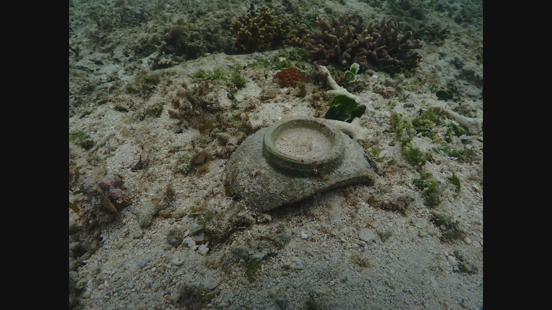 久米島沖に眠る水中遺跡「東奥武沖遺跡」琉球と明の朝貢貿易示す陶磁器
