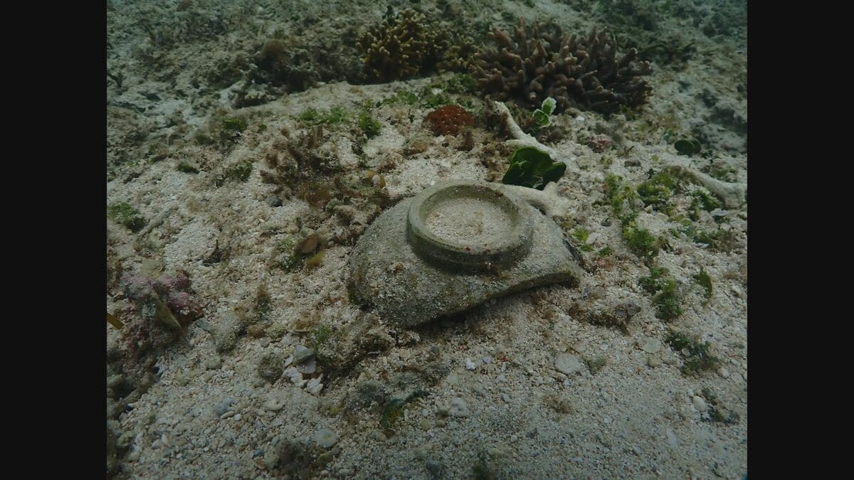 【中古】琉球列島の陸水生物 宮古島の固有種の故郷は消えた島だった？ 地質学と生物学の融合研究が