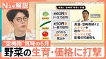 水がめは大丈夫?河口湖に異変 “空梅雨”気味で夏野菜の生育・価格にも打撃 秋の味覚にも影響か【Nスタ解説】|TBS NEWS DIG