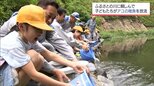 ふるさとの川に親しんで 諸塚村の小学生がアユの稚魚を放流|TBS NEWS DIG