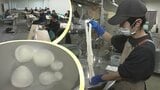 「酒かす使い、岩手のチーズの可能性広げたい」岩手オリジナルチーズ商品化へ | IBC NEWS | IBC岩手放送