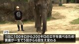 「歯と口の健康週間」宮崎市のフェニックス自然動物園でイベント | MRTニュース | MRT宮崎放送