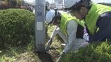 街路灯突然倒壊を受け県調査　腐食進んだ5基撤去　大分|TBS NEWS DIG