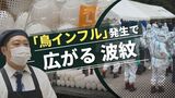 「鳥インフル発生」広がる波紋　休園する公園　たまごの値段は？　困惑する養鶏農家　|　福岡のニュース｜RKB NEWS｜RKB毎日放送