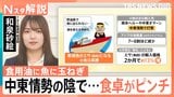 食卓のピンチは食用油だけでなく、魚にも 中東情勢でコスト増…専門家が指摘する「1年のタイムラグ」【Nスタ解説】|TBS NEWS DIG