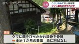 ”山あいではどこから出てきてもわからない”クマに襲われ80代男性が重傷　ツキノワグマ出没警報　富山　|　富山のニュース｜天気・防災｜チューリップテレビ