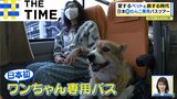 日本初“ワンコ専用バス”やペットOKの“世界遺産”…広がる「ペットツーリズム」【THE TIME,】|TBS NEWS DIG