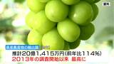 初の20億円突破　長野県産農産物の輸出額が過去最高に（2022年）主な輸出先は香港・台湾|TBS NEWS DIG