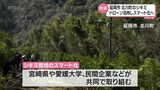 シキミの栽培のスマート化を 延岡市でドローンを使った農薬散布に向けた試験 |TBS NEWS DIG