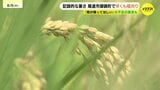 記録的暑さで早まる稲刈り 農家の新たな挑戦「再生二期作」 猛暑と水不足を乗り越えて|TBS NEWS DIG