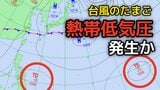 【台風のたまご】新たな「熱帯低気圧」が28日までに発生、さらに29日までにもうひとつ発生か　日本への影響、進路は？今後の「台風情報」に注意　7月7日（火）までの雨・風シミュレーション【気象庁 27日最新天気図】|TBS NEWS DIG