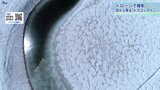 雪解けで現れる“神秘の眼” 「八幡平ドラゴンアイ」を空から眺める | IBC NEWS | IBC岩手放送