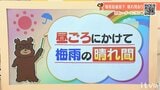 3日(金)は昼ごろにかけて梅雨の晴れ間となる見込み 愛媛|TBS NEWS DIG