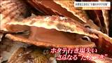 「中国がプライスリーダーとなりどんどん取引価格が引きあがった」処理水放出で苦境のホタテ加工業者 宮城・石巻市 | 宮城のニュース│tbc NEWS│tbc東北放送