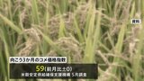 コメの「向こう3か月」価格見通し 「この先も高いまま」との見方強く　先月の調査結果|TBS NEWS DIG