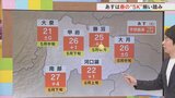 26日は春の5K揃い踏み 乾燥・花粉・強風・寒暖差・黄砂に注意 気象予報士が解説 山梨 | 山梨のニュース | UTYテレビ山梨