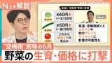 水がめは大丈夫？河口湖に異変　“空梅雨”気味で夏野菜の生育・価格にも打撃　秋の味覚にも影響か【Nスタ解説】|TBS NEWS DIG