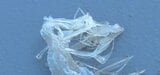 なんじゃこりゃ?刺し網にかかった高級魚が骨だけに…いったい誰の仕業?その謎に迫る | 富山のニュース|天気・防災|チューリップテレビ