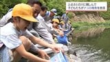ふるさとの川に親しんで 諸塚村の小学生がアユの稚魚を放流 | MRTニュース | MRT宮崎放送