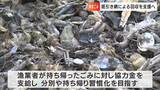 「瀬戸内海の海底にこれだけのごみ!」底引き網による海底ごみを回収するモデル事業 漁業者を支援【岡山】|TBS NEWS DIG