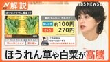 「最悪な状況」次はほうれん草や白菜が高騰…暑さ・台風が影響 世界で“記録的不作”オリーブ、オレンジ、カカオも【Nスタ解説】|TBS NEWS DIG
