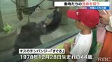 すぐる44歳、茶吉24歳 動物たちの長寿を祝う 沖縄こどもの国 | 沖縄のニュース|RBC 琉球放送