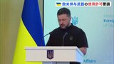 ゼレンスキー大統領「レッドラインという概念は変わった」欧米が供与した武器を使ったロシアへの攻撃を認めるよう支援国に求める|TBS NEWS DIG