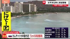 ロシア・カムチャツカ半島の周辺 最大5メートルの津波観測 現地報道　ハワイ・マウイ島では約1.74メートルの津波観測| TBS CROSS DIG with Bloomberg