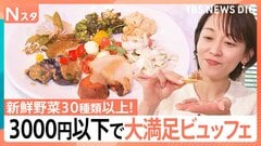 【都内ホテルビュッフェ】銀座で2950円の“罪悪感ゼロ”野菜ビュッフェ＆晴海で3520円の“時間無制限”ビュッフェ【Nスタ解説】| TBS CROSS DIG with Bloomberg