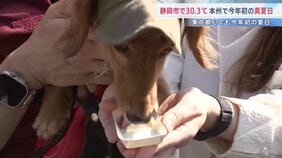 「肉球熱いか心配」今年初の“夏日” 都内で犬と楽しむイベント　静岡市は30.3℃で本州初の“真夏日”に　各地で29℃台を記録するなど4月中旬とは思えない季節外れの暑さに|TBS NEWS DIG