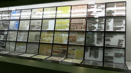 世界中から収集されたチョウの標本 約1万4千点が並ぶ展示会 倉敷