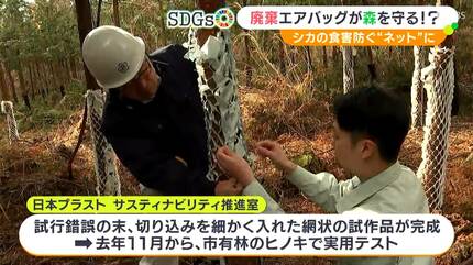 人の命だけでなく 森の樹木も守ることに使えないか」廃棄エアバッグで