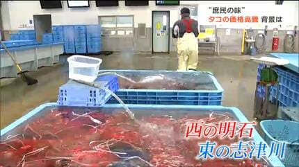 【タコスロ】全国配送OK！引き取りは値引き タコスロ】全国配送OK！引き取りは値引き