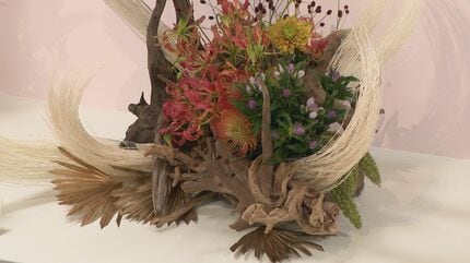 伝統の「松月堂古流いけばな展」はじまる 季節の移ろい 中秋の名月を