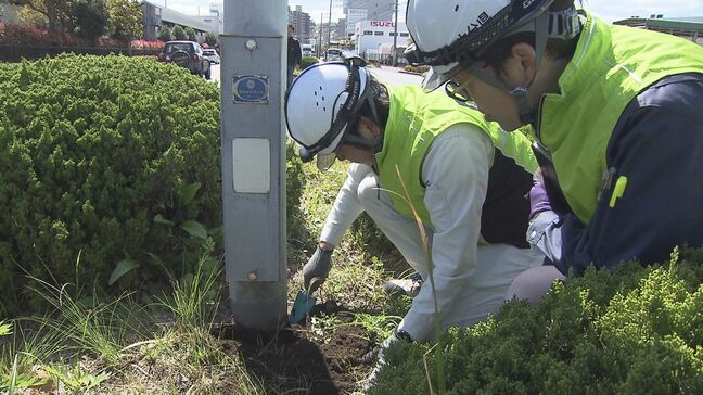 街路灯突然倒壊を受け県調査 腐食進んだ5基撤去 大分|TBS NEWS DIG