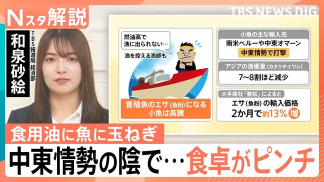 食卓のピンチは食用油だけでなく、魚にも 中東情勢でコスト増…専門家が指摘する「1年のタイムラグ」【Nスタ解説】|TBS NEWS DIG