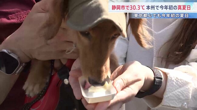「肉球熱いか心配」今年初の“夏日” 都内で犬と楽しむイベント 静岡市は30.3℃で本州初の“真夏日”に 各地で29℃台を記録するなど4月中旬とは思えない季節外れの暑さに|TBS NEWS DIG