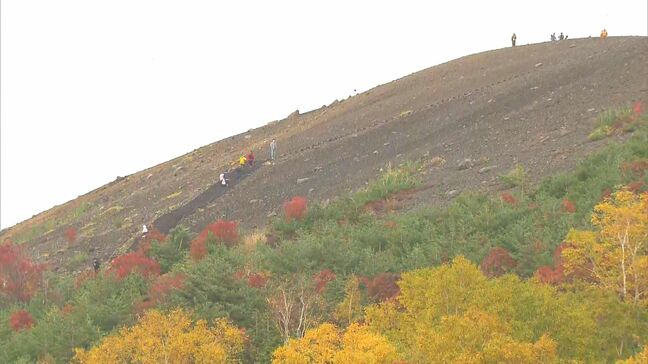 「すごく黄色が映えてきれい」３連休最終日　浄土平の紅葉見ごろ　磐梯吾妻スカイライン　福島|TBS NEWS DIG